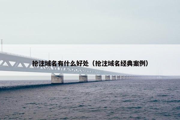 抢注域名有什么好处（抢注域名经典案例）