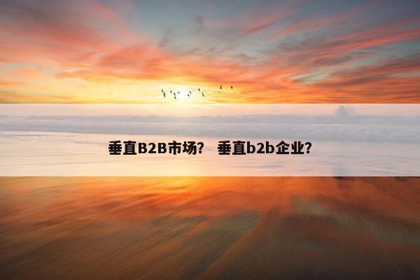 垂直B2B市场？ 垂直b2b企业？