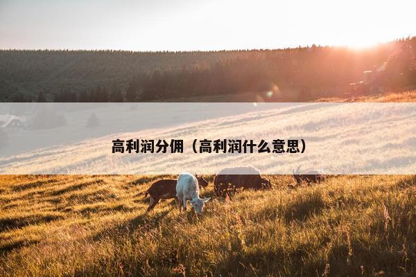 高利润分佣（高利润什么意思）
