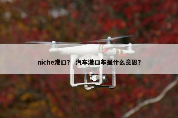 niche港口？ 汽车港口车是什么意思？
