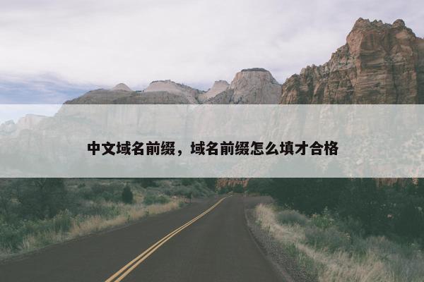 中文域名前缀，域名前缀怎么填才合格