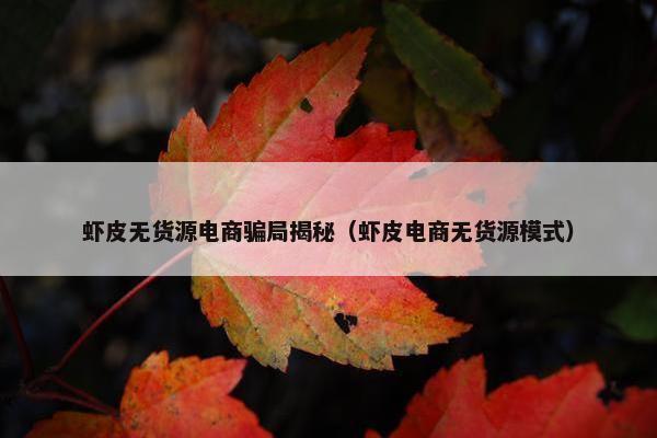 虾皮无货源电商骗局揭秘（虾皮电商无货源模式）