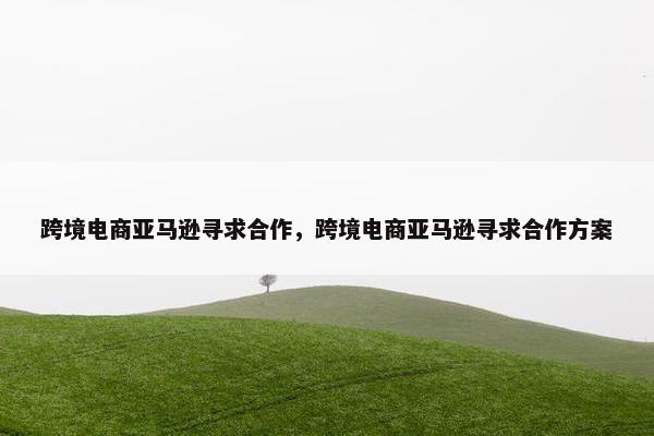 跨境电商亚马逊寻求合作，跨境电商亚马逊寻求合作方案