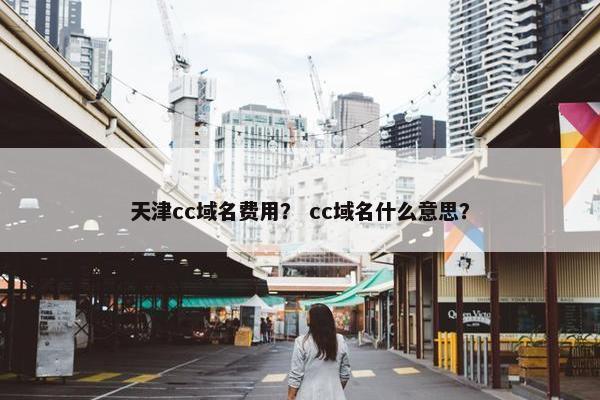 天津cc域名费用？ cc域名什么意思？