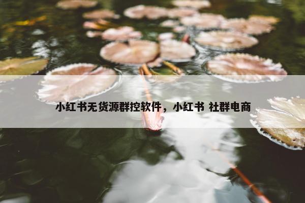 小红书无货源群控软件，小红书 社群电商