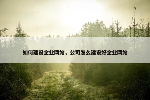 如何建设企业网站，公司怎么建设好企业网站