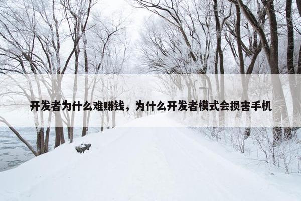 开发者为什么难赚钱，为什么开发者模式会损害手机
