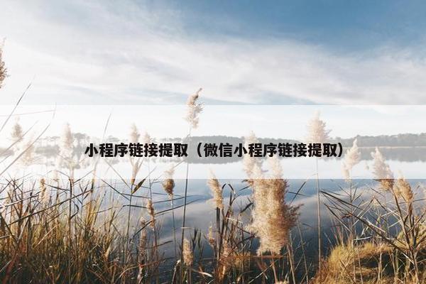 小程序链接提取（微信小程序链接提取）