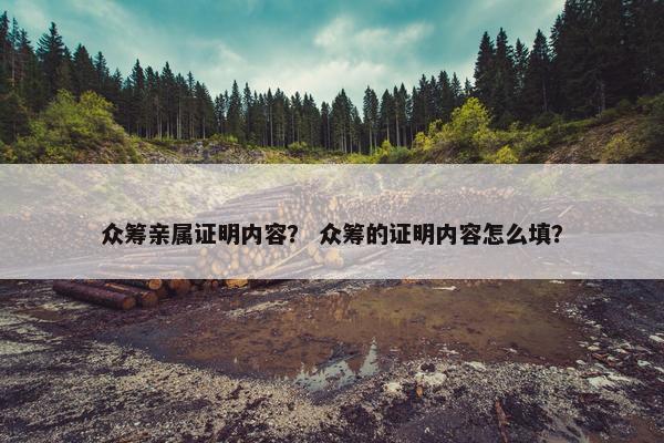 众筹亲属证明内容？ 众筹的证明内容怎么填？