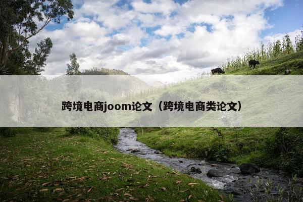 跨境电商joom论文（跨境电商类论文）