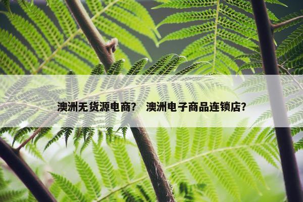 澳洲无货源电商？ 澳洲电子商品连锁店？