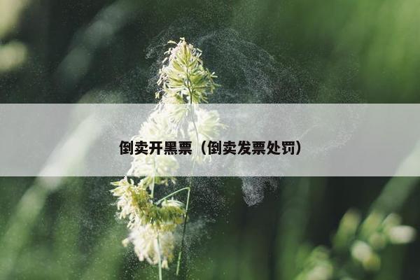 倒卖开黑票（倒卖发票处罚）