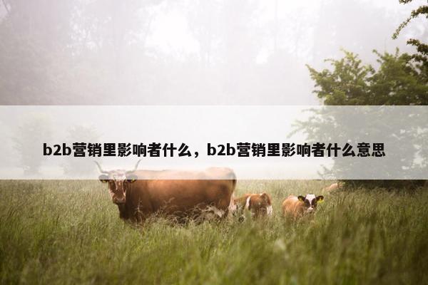 b2b营销里影响者什么，b2b营销里影响者什么意思