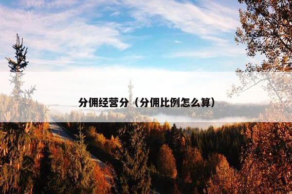 分佣经营分（分佣比例怎么算）