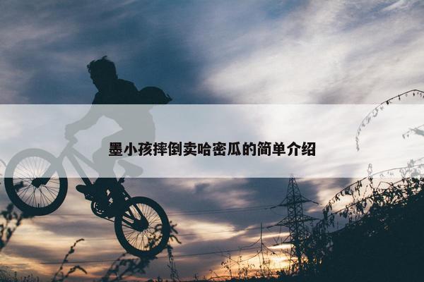 墨小孩摔倒卖哈密瓜的简单介绍