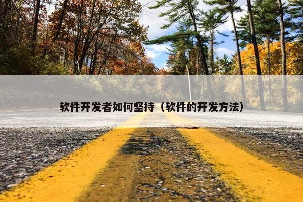 软件开发者如何坚持（软件的开发方法）