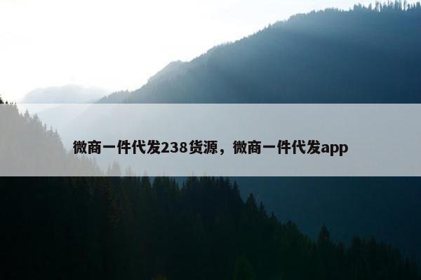 微商一件代发238货源，微商一件代发app
