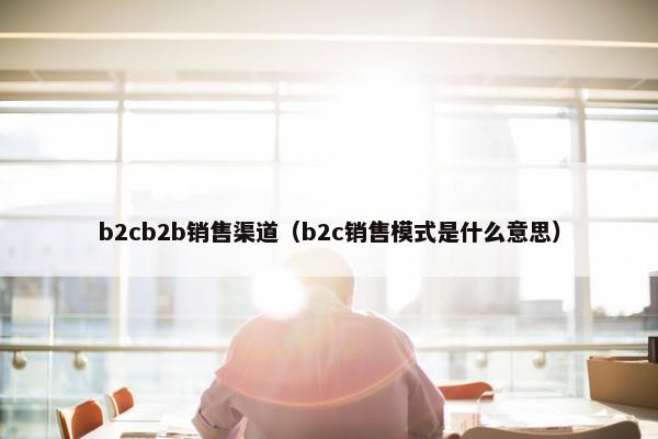 b2cb2b销售渠道（b2c销售模式是什么意思）