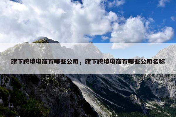 旗下跨境电商有哪些公司，旗下跨境电商有哪些公司名称