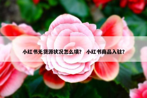 小红书无货源状况怎么填？ 小红书商品入驻？