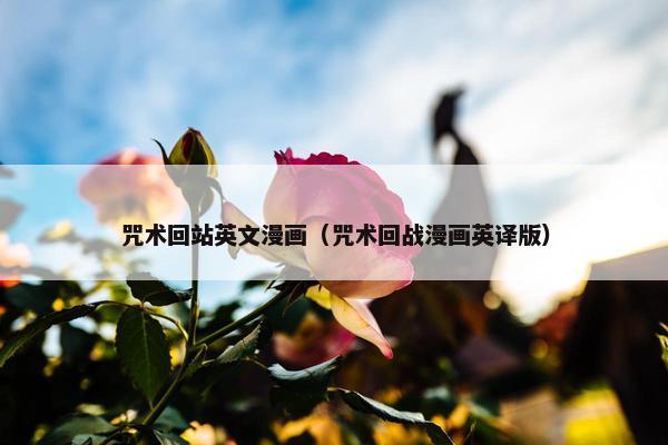 咒术回站英文漫画（咒术回战漫画英译版）