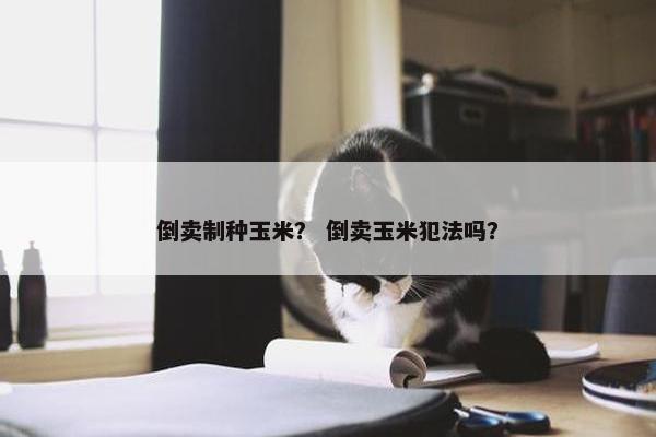 倒卖制种玉米？ 倒卖玉米犯法吗？