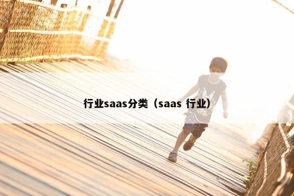 行业saas分类（saas 行业）