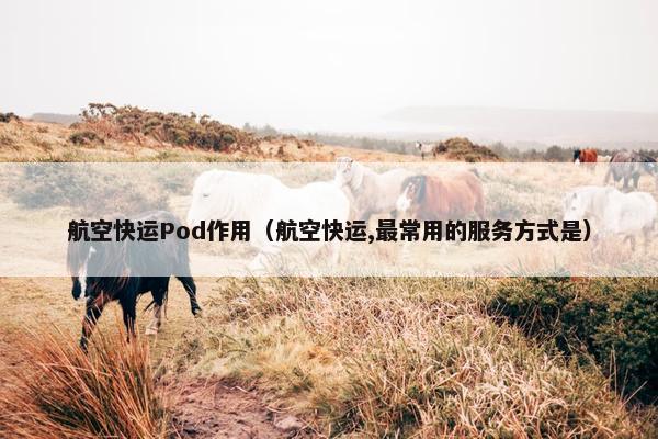 航空快运Pod作用（航空快运,最常用的服务方式是）