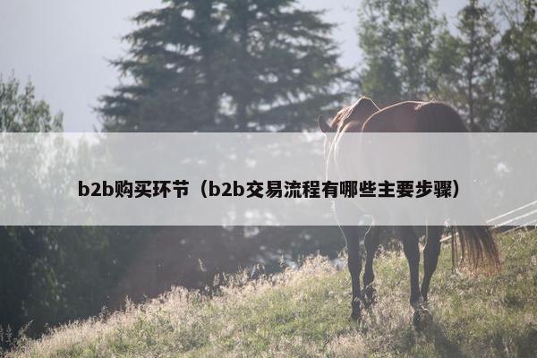 b2b购买环节（b2b交易流程有哪些主要步骤）