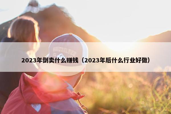 2023年倒卖什么赚钱（2023年后什么行业好做）