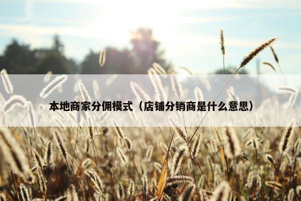 本地商家分佣模式（店铺分销商是什么意思）