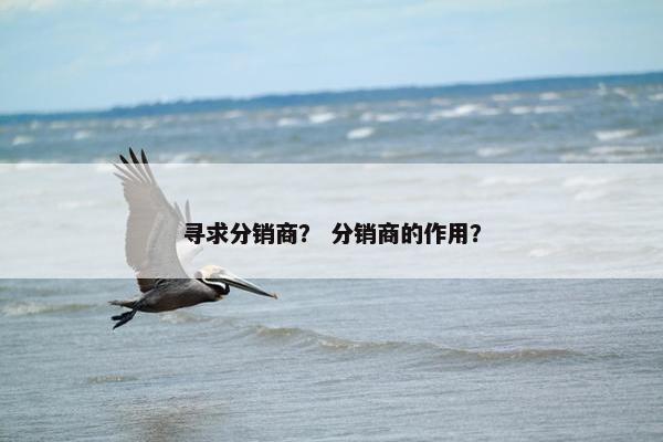 寻求分销商？ 分销商的作用？