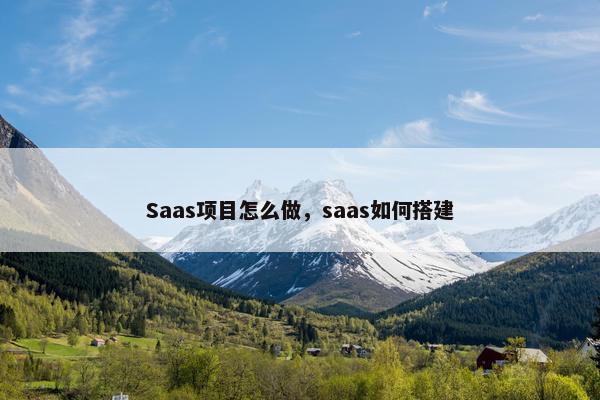 Saas项目怎么做，saas如何搭建