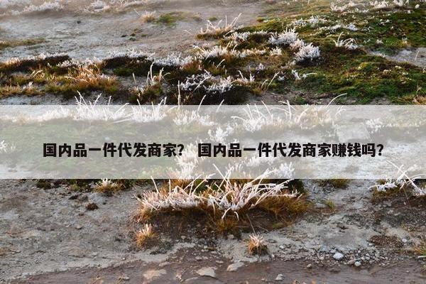 国内品一件代发商家？ 国内品一件代发商家赚钱吗？
