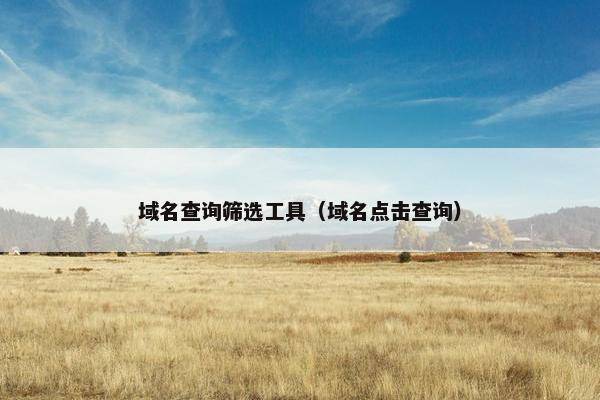 域名查询筛选工具（域名点击查询）
