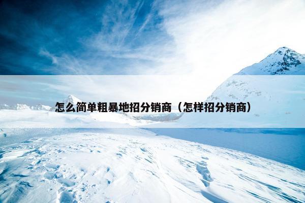 怎么简单粗暴地招分销商（怎样招分销商）