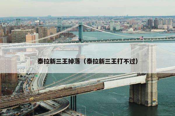 泰拉新三王掉落（泰拉新三王打不过）