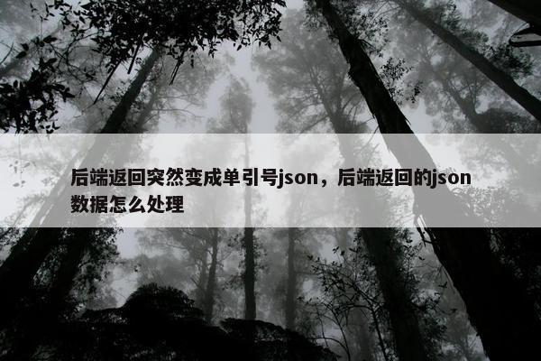 后端返回突然变成单引号json，后端返回的json数据怎么处理