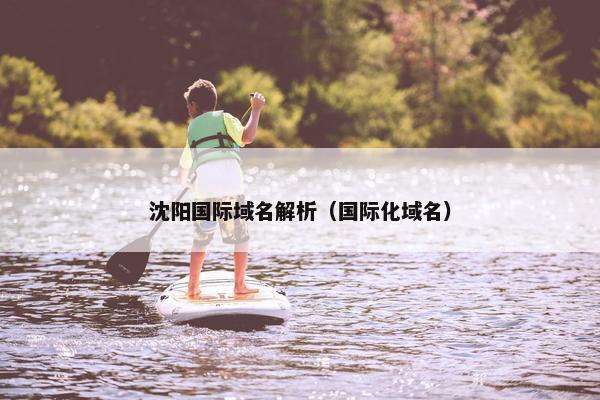 沈阳国际域名解析（国际化域名）