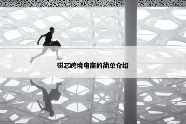 磁芯跨境电商的简单介绍