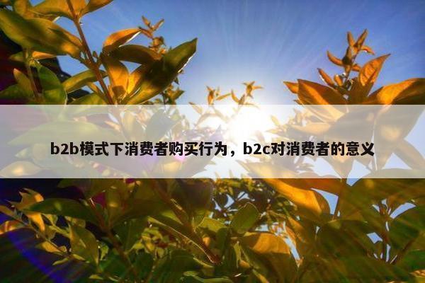 b2b模式下消费者购买行为，b2c对消费者的意义