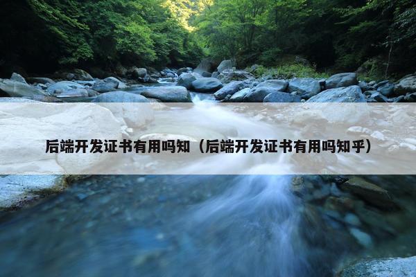 后端开发证书有用吗知（后端开发证书有用吗知乎）