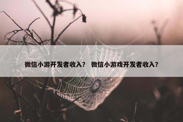 微信小游开发者收入？ 微信小游戏开发者收入？
