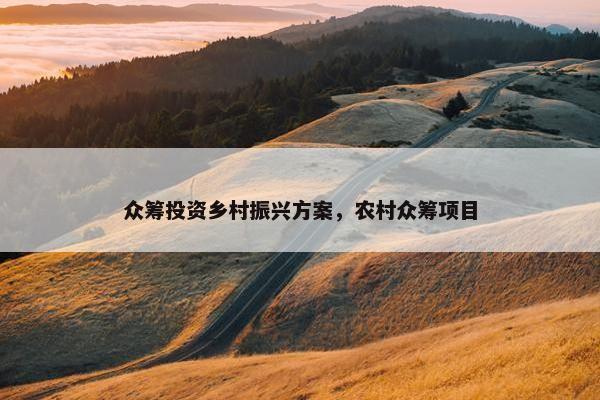 众筹投资乡村振兴方案，农村众筹项目