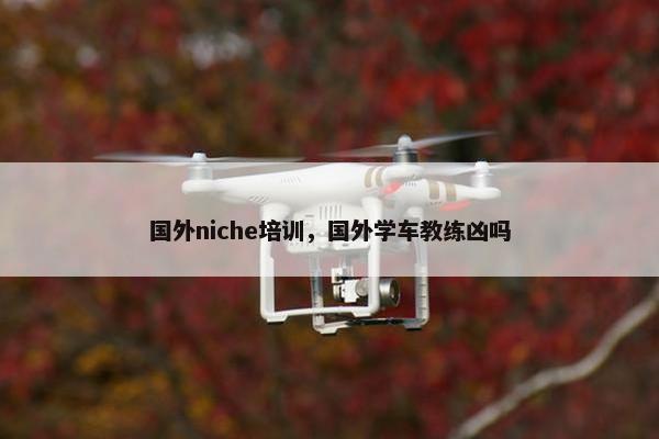 国外niche培训，国外学车教练凶吗
