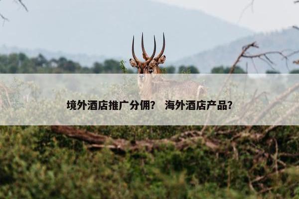 境外酒店推广分佣？ 海外酒店产品？