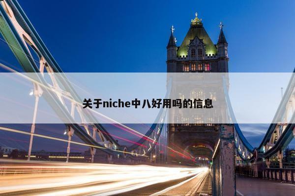 关于niche中八好用吗的信息