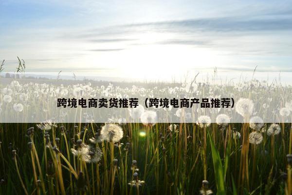 跨境电商卖货推荐（跨境电商产品推荐）