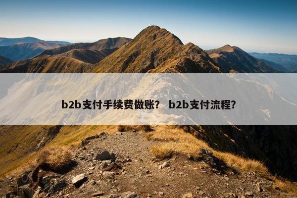 b2b支付手续费做账？ b2b支付流程？