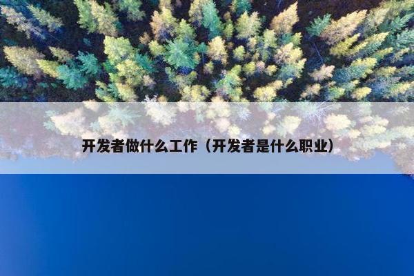 开发者做什么工作（开发者是什么职业）